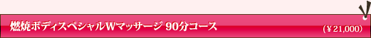 燃焼ボディスペシャルWマッサージ90分コース
