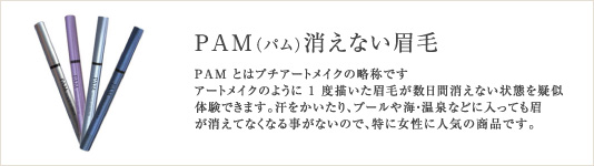 PAM(パム)消えない眉毛